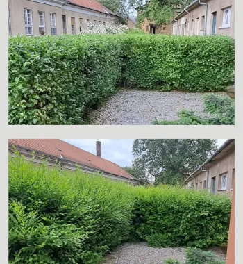 Zöldterület kezelés